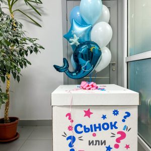 Коробка с шарами №15