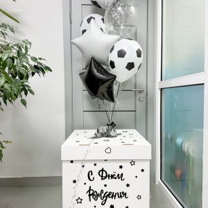Коробка с шарами №17